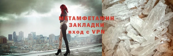прущие грибы Бородино