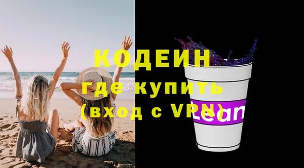 прущие грибы Бородино