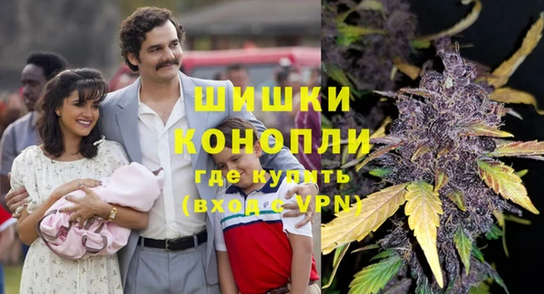 PSILOCYBIN Богородск
