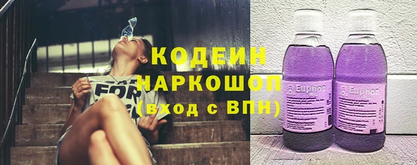 прущие грибы Бородино
