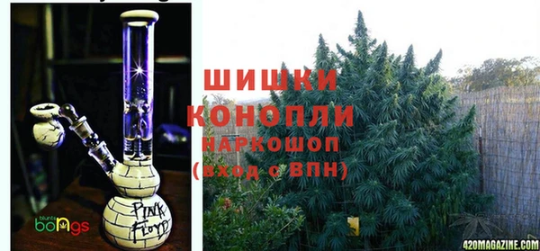 PSILOCYBIN Богородск