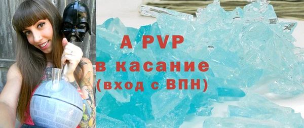 прущие грибы Бородино