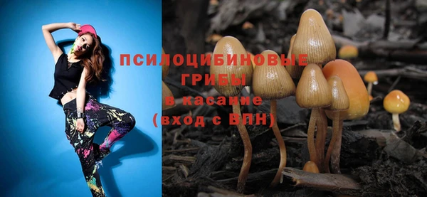 прущие грибы Бородино